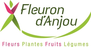 Fleuron d'Anjou